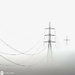 Pylons in the mist by yorkshirekiwi