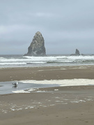 10th Aug 2023 - Cannon Beach