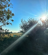 10th Aug 2023 - Making Hay while the sun shines 