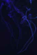 1st Aug 2023 - #177 - Blue smoke