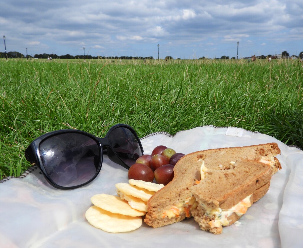 Lunch on the Heath by tiaj1402