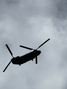10th Aug 2023 - Chinook passing overhead.  