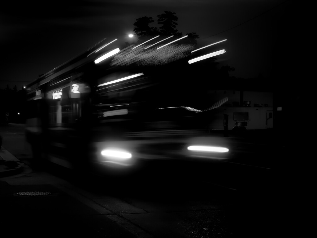 the night bus... by northy