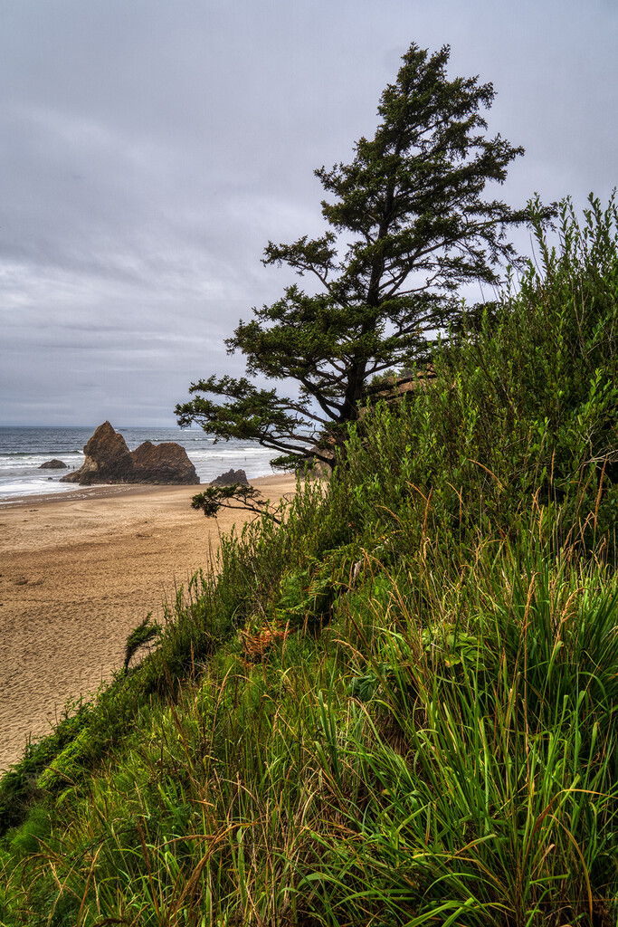 Oregon Coast by kvphoto