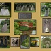 Philp Jackson's Garden's Sculpures by 30pics4jackiesdiamond