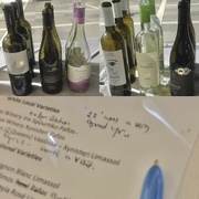 29th Jun 2023 -  wine tasting is such fun, even though I taste & spit 