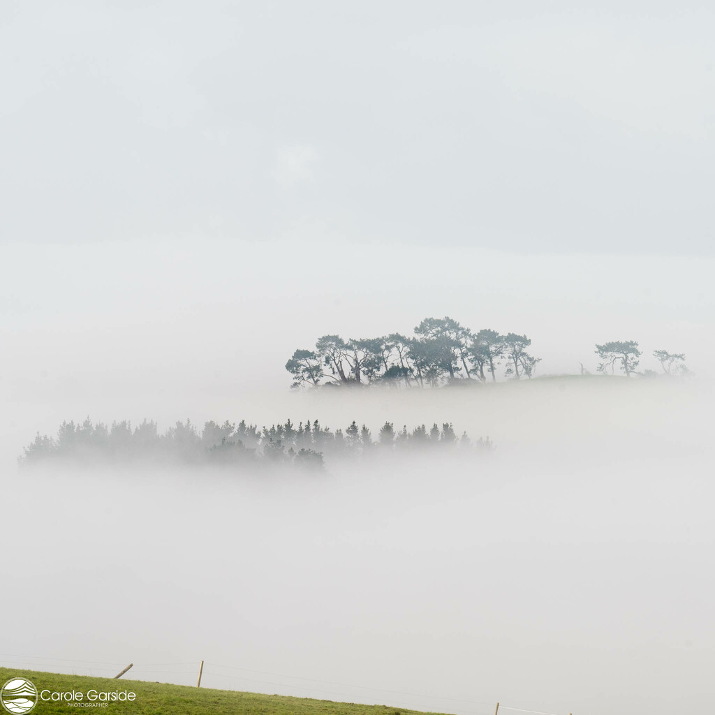 More Fog by yorkshirekiwi