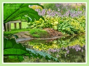 12th Aug 2023 - Hostas And Reflections