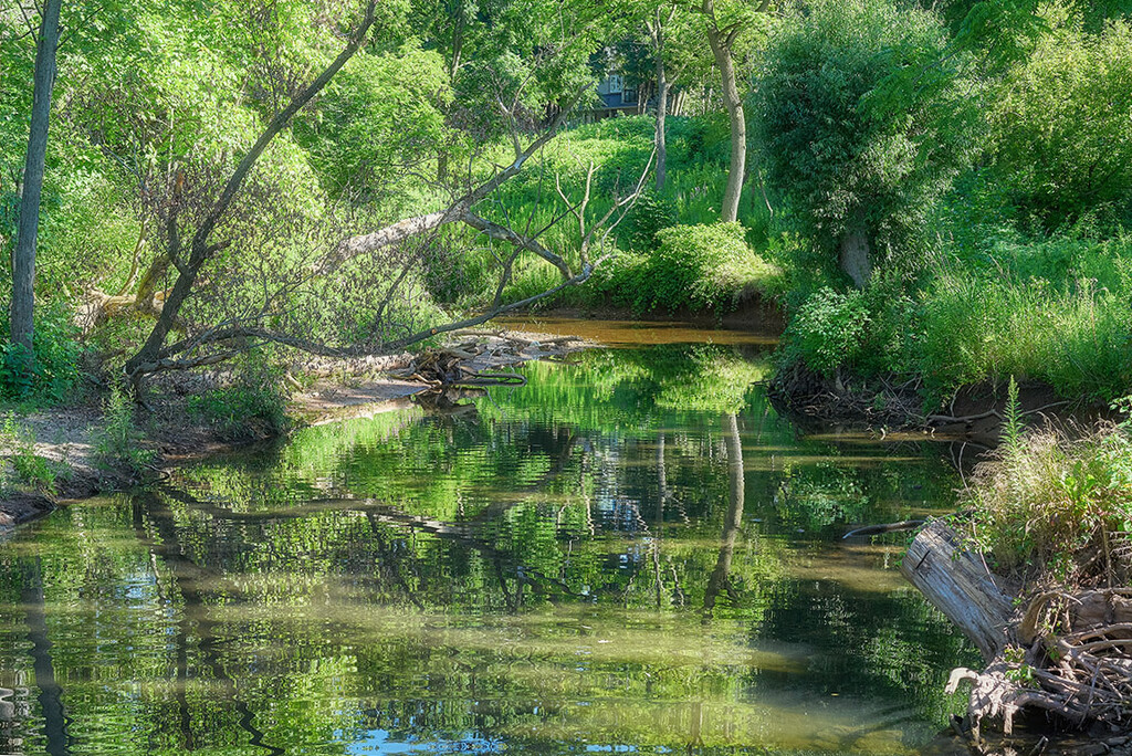 Reflection Brook by gardencat