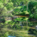 Reflection Brook by gardencat
