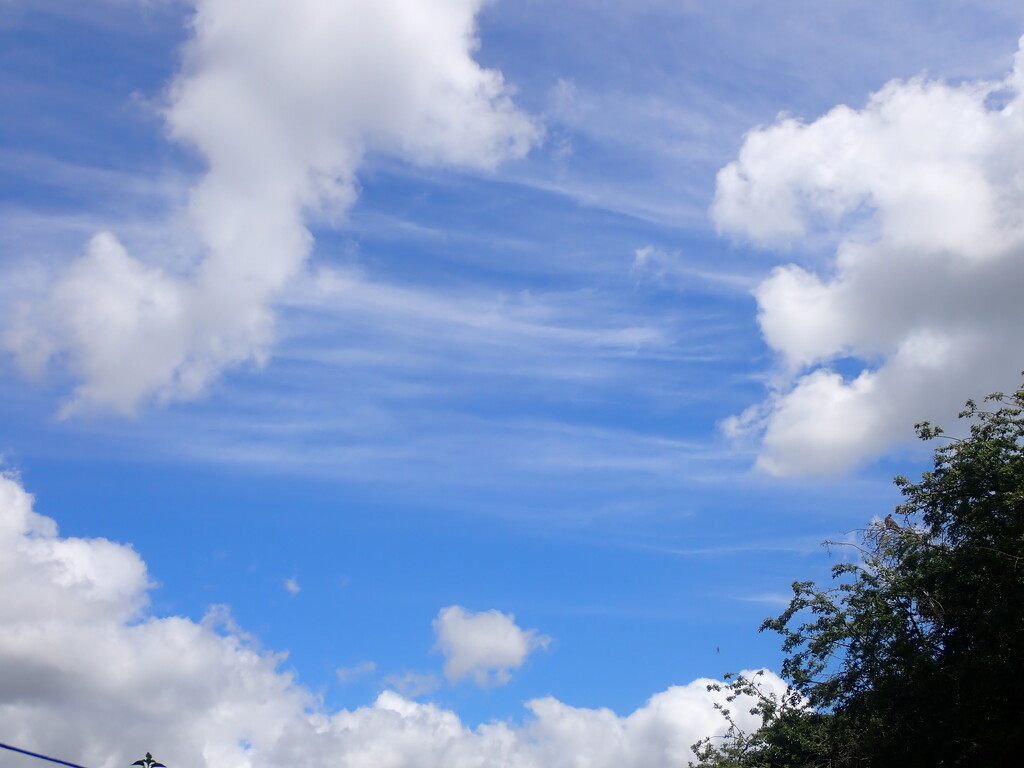 Cool breezy day clouds by speedwell