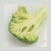 12th Aug 2023 - Broccoli 