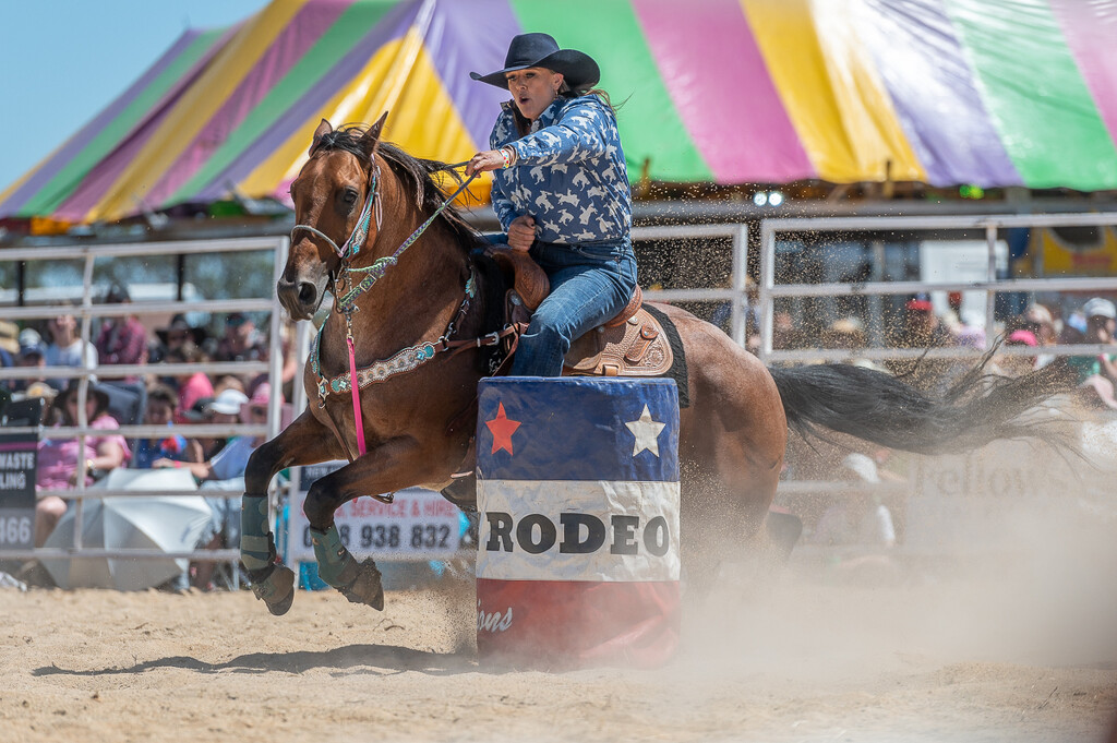 Bunyip Rodeo 2023  by teodw