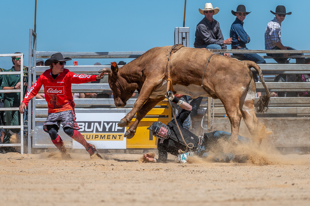 Bunyip Rodeo 2023  by teodw