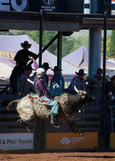 13th Aug 2023 - Bull Riding