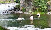13th Aug 2023 - Messing about in the river. 