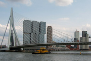 13th Aug 2023 - The Erasmus Bridge