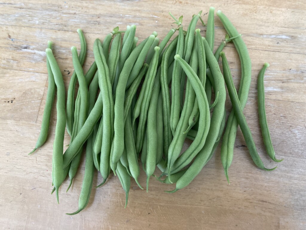 Green Beans by cataylor41