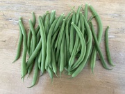 7th Aug 2023 - Green Beans