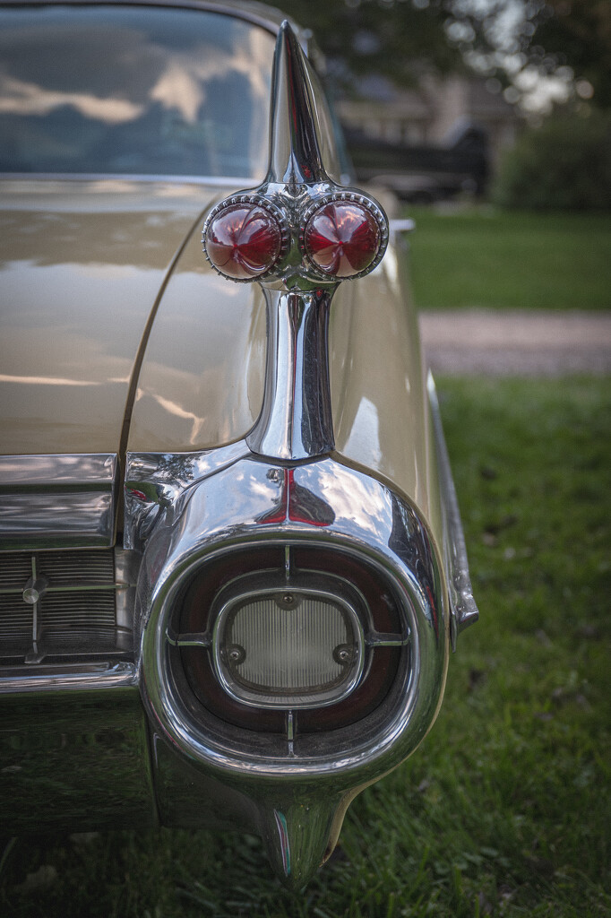 Taillights  by jackies365