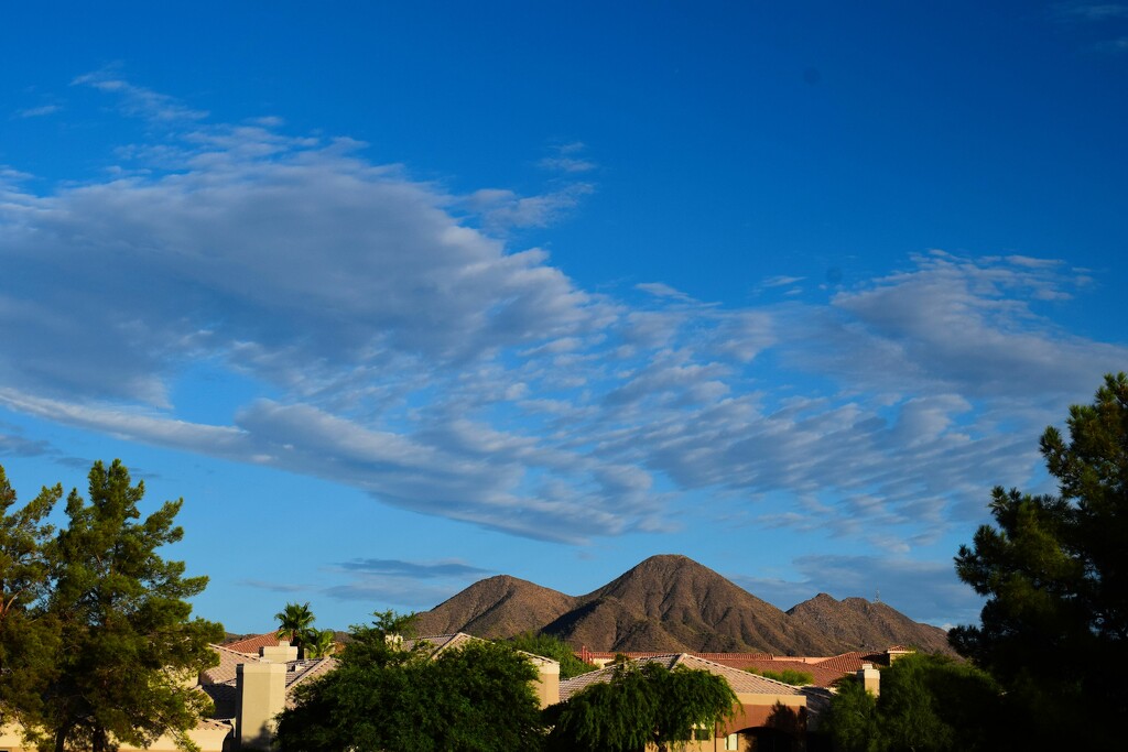 Aug 12 Morning facing the McDowell Mountains by sandlily