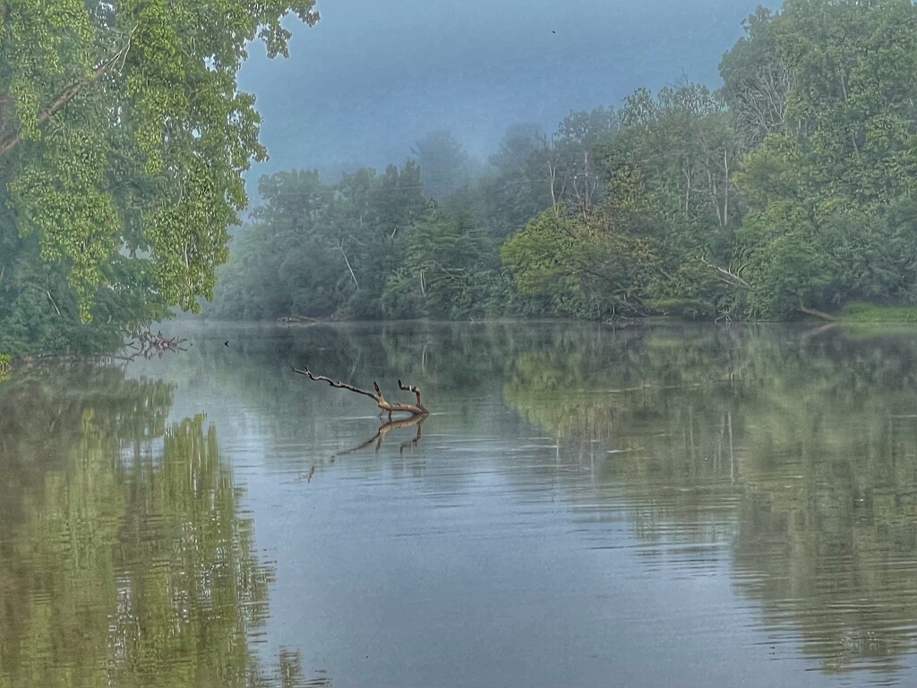 river and fog… by amyk