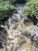 14th Aug 2023 - The River Boluisce ? at Spiddal,Galway