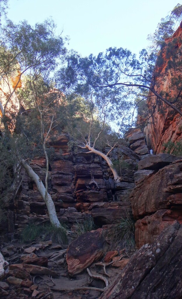 Murchison Gorge... by robz