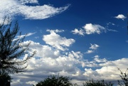 13th Aug 2023 - Aug 13 Blue skies with clouds