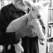 Well read lamb visits bookshop  by kali66