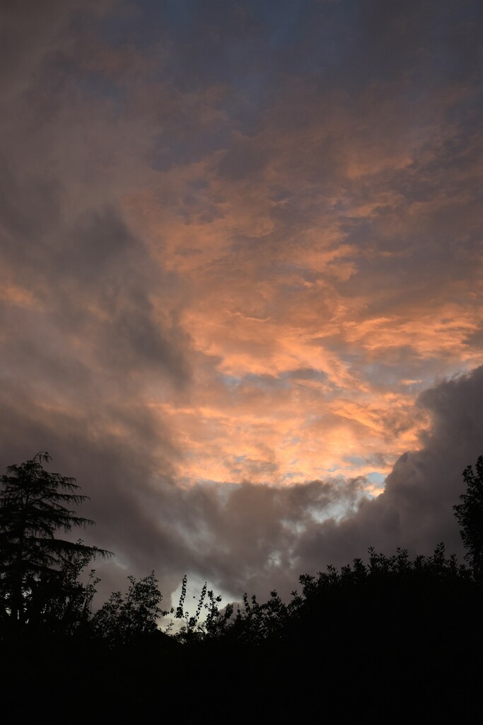 There was a momentary dramatic sky tonight by anitaw