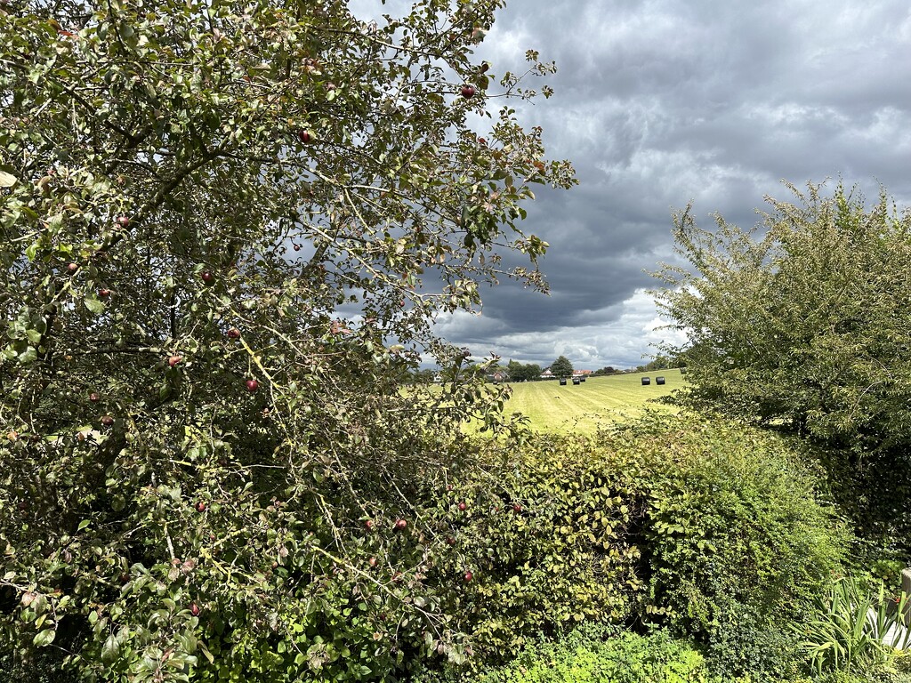 Dramatic skies by wendystout