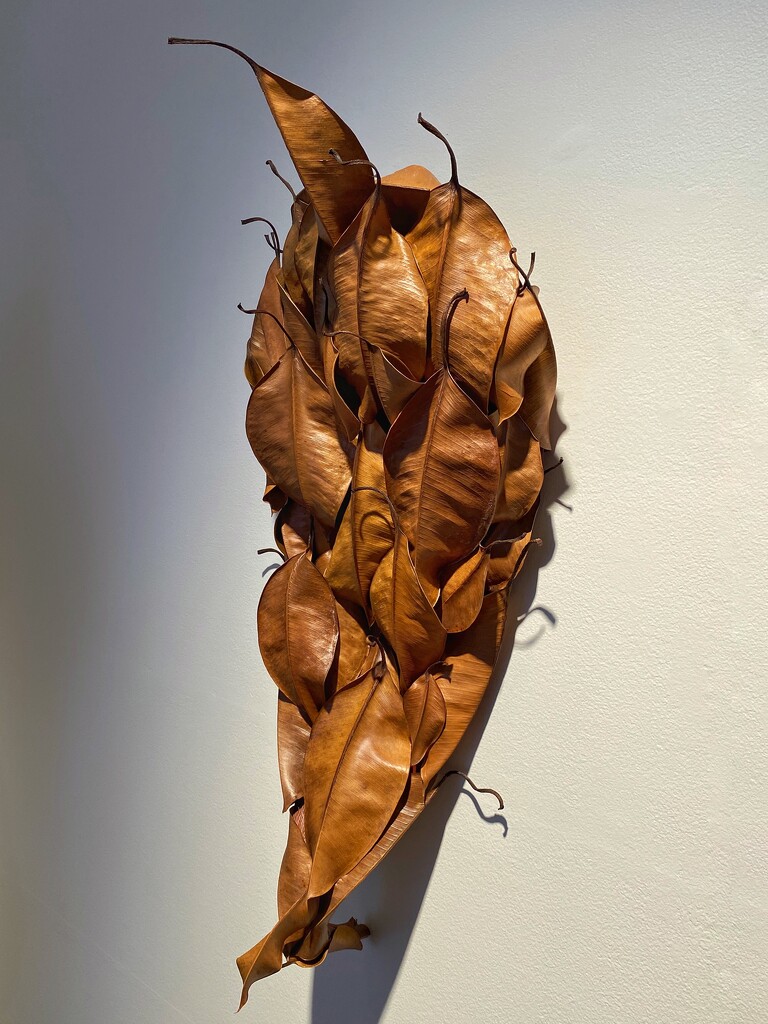 Dried leaves sculpture. Manly Gallery by johnfalconer
