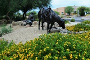 14th Aug 2023 - Aug 14 Horse and cowpoke