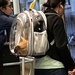 Cat bag by asaaddekelver