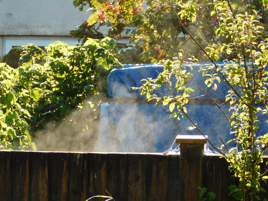 steaming fence by anniesue