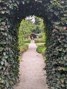 16th Aug 2023 - In the walled garden at Castle Fraser 