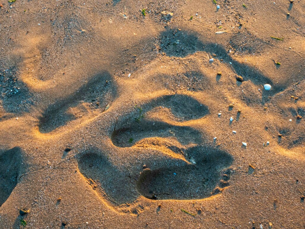 Footprints in the sand.  by padlock