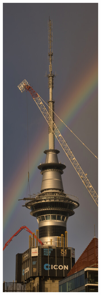 Sky Tower and a rainbow by dkbarnett