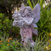 Garden Fairy  by frodob