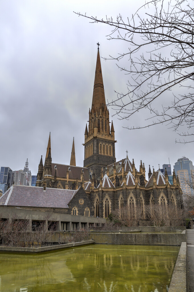 St. Patrick's Cathedral by briaan