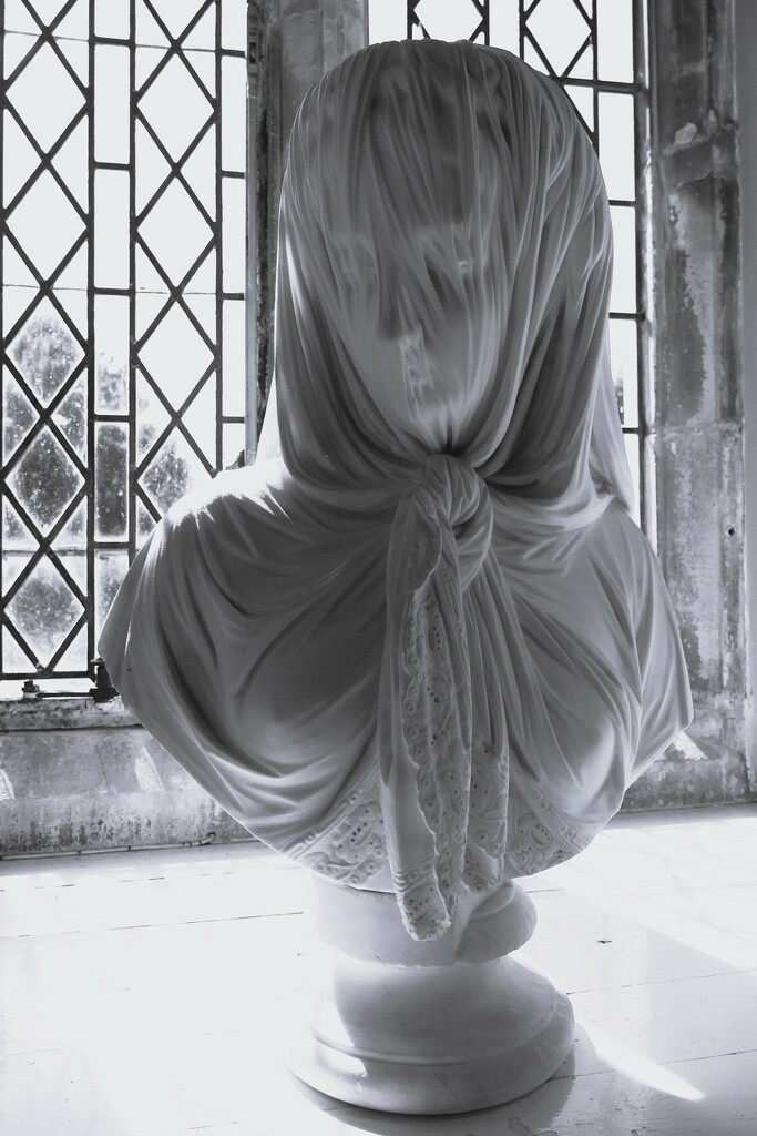 The Veiled Lady by cam365pix