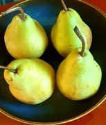 2nd Aug 2023 - Four Pears.