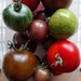 A selection of Tomatoes 