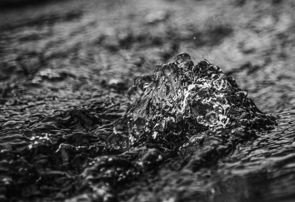 Water over grass-1 by darchibald