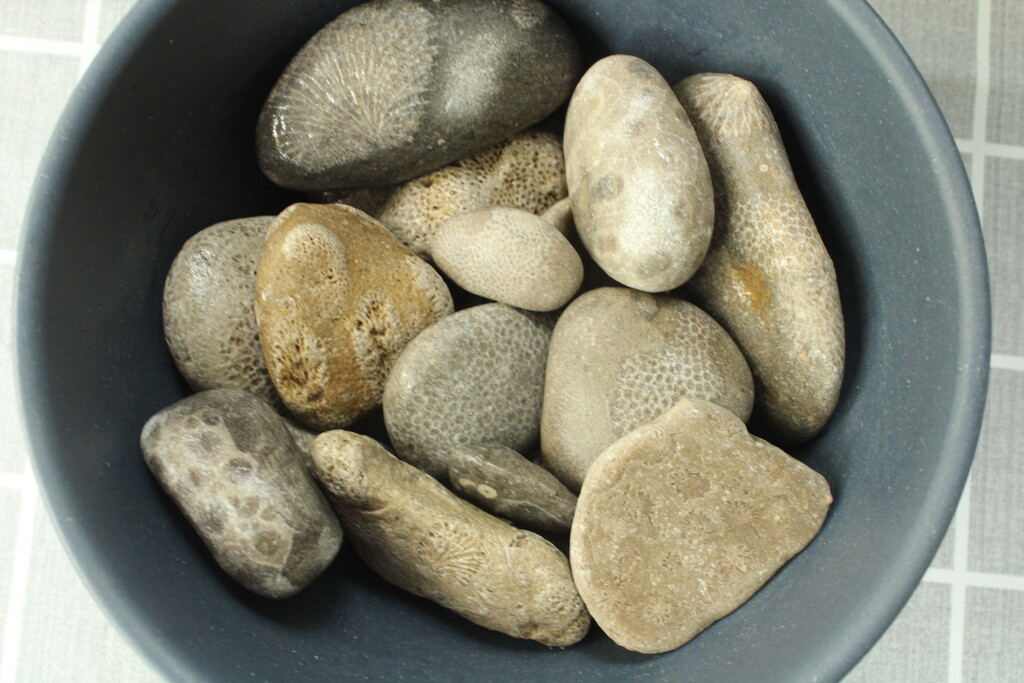 Stones from Petoskey MI by mltrotter