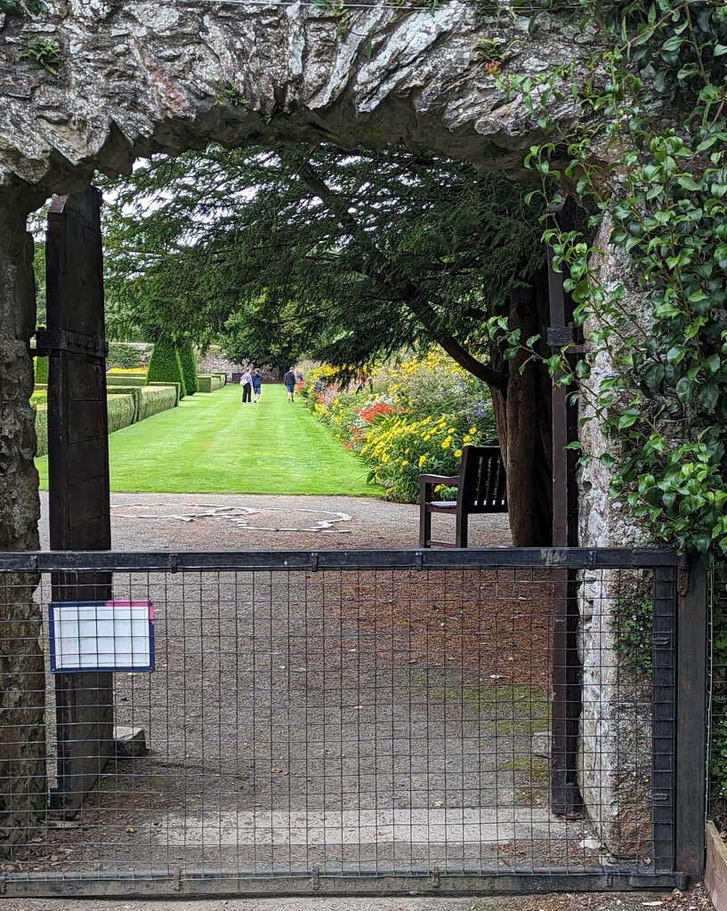 Through the garden gate  by sarah19