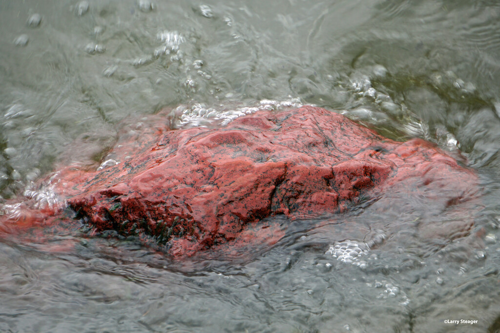 Large red boulder by larrysphotos