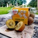 Golden Kiwifruit Picnic in the Rain by princessicajessica