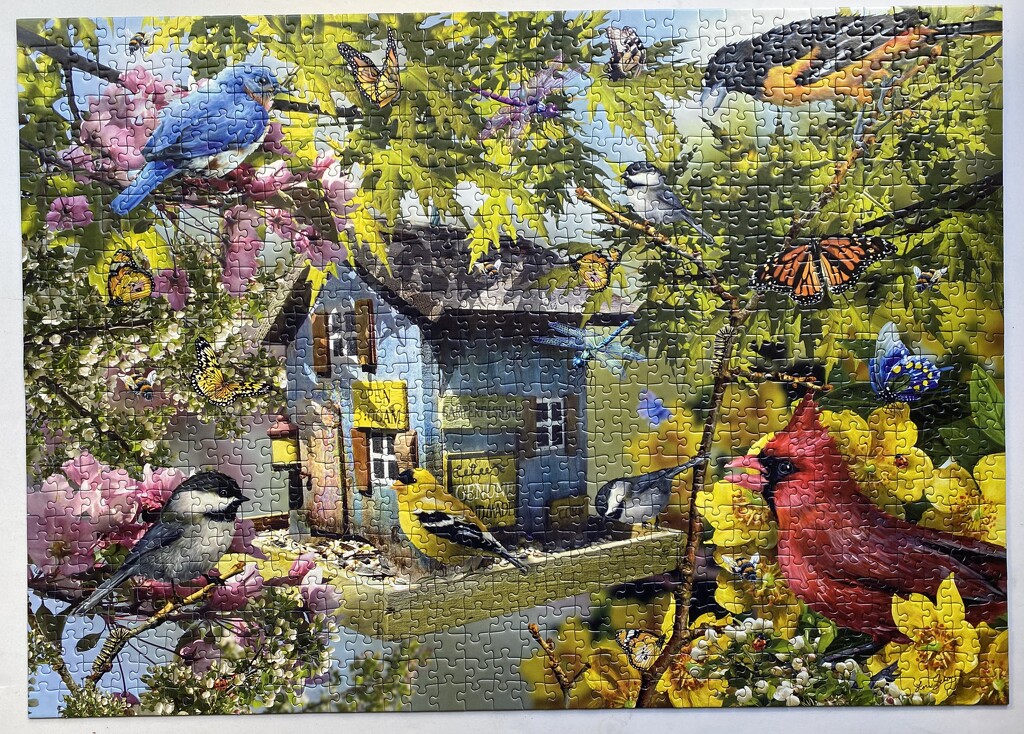 Bird series puzzles by antlamb